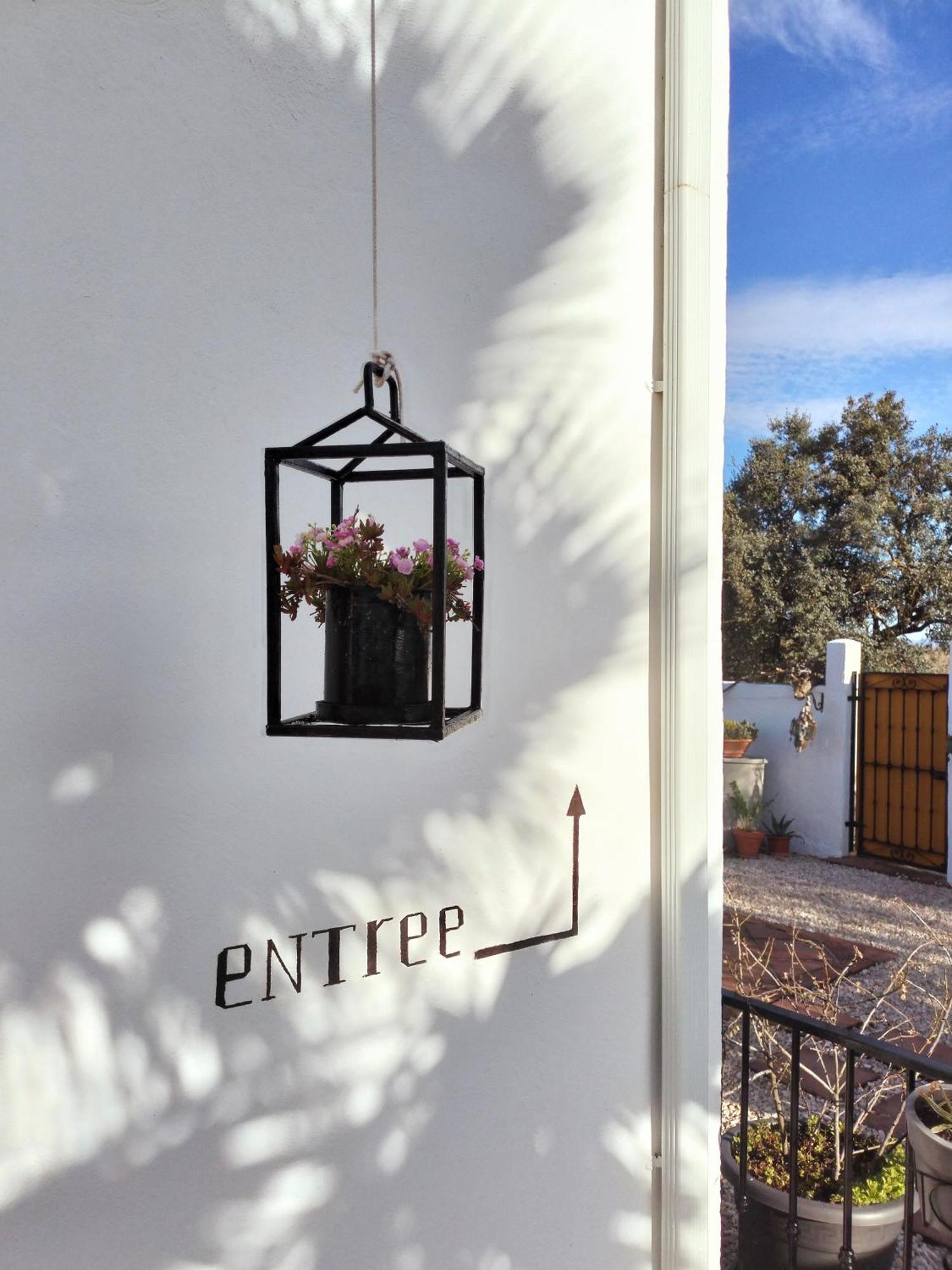 Todos Y Tonya Bed & Breakfast Archidona Exterior photo