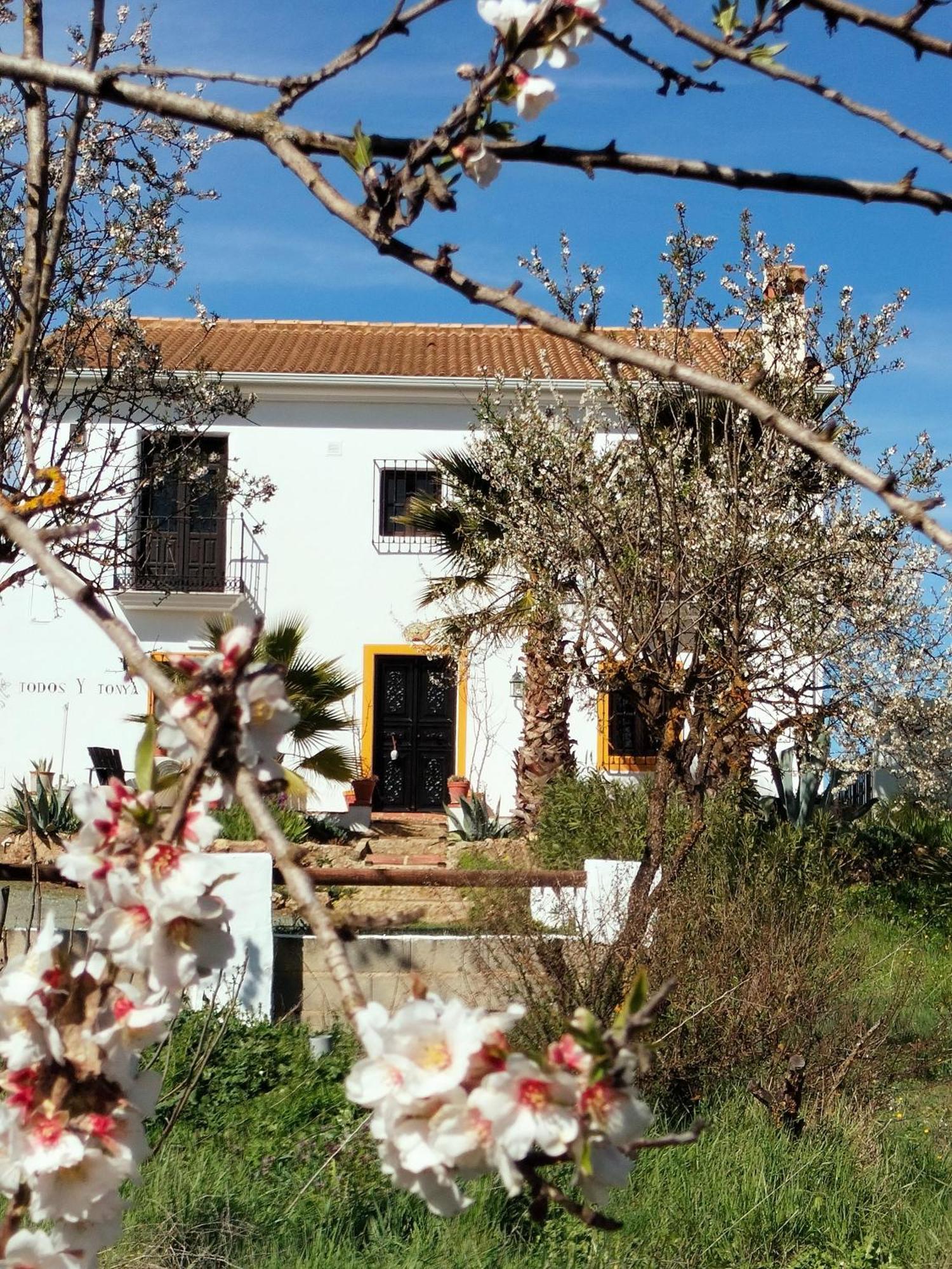 Todos Y Tonya Bed & Breakfast Archidona Exterior photo