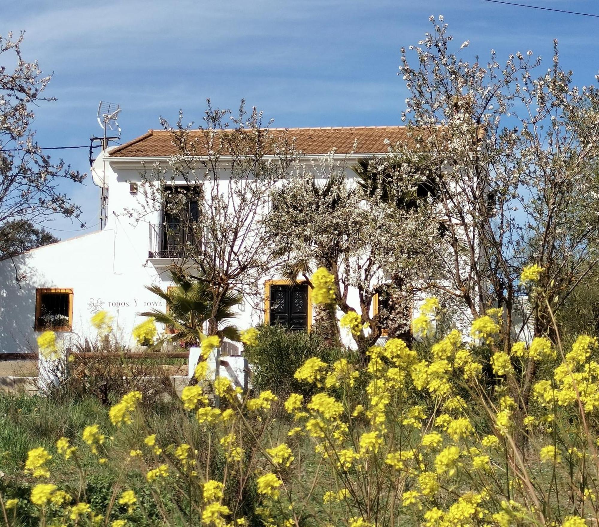 Todos Y Tonya Bed & Breakfast Archidona Exterior photo