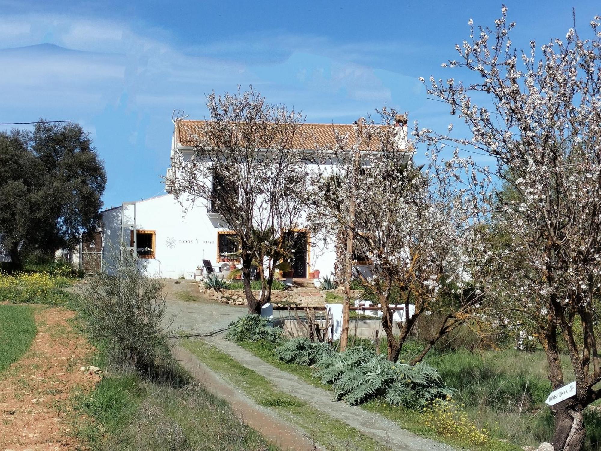 Todos Y Tonya Bed & Breakfast Archidona Exterior photo